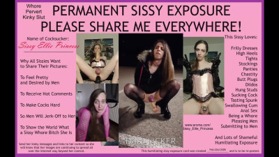 Sissy Ellie Princess - Please Expose Me 4