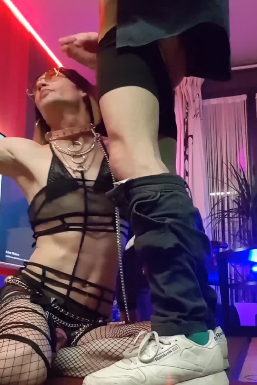 Watch 👑(makingoff4 Vue G) Esclave Sexuelle Devant Une Belle Bite En Facefucking. Une Chienne À Bite Shemale Porn Videos | TranSexBig.