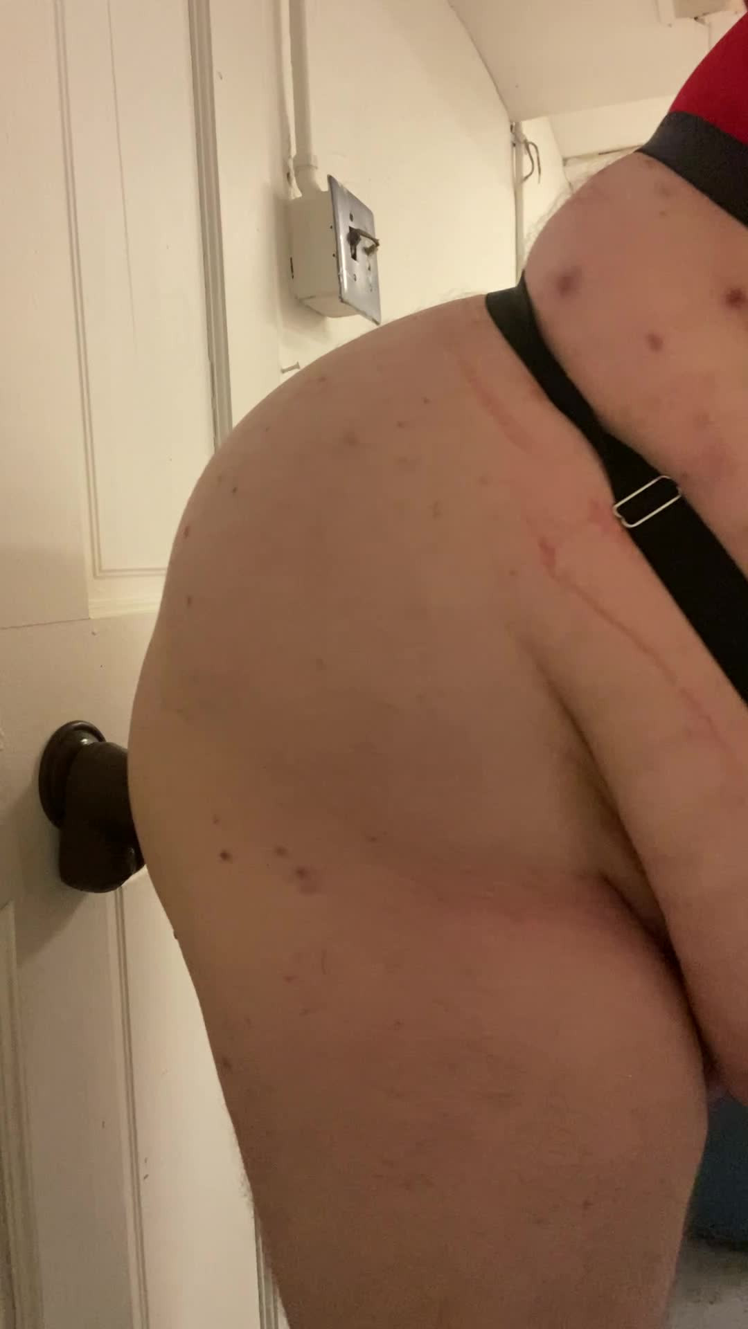 Watch Sissy going down on bbc dildo l Shemale Porn Videos | TranSexBig.