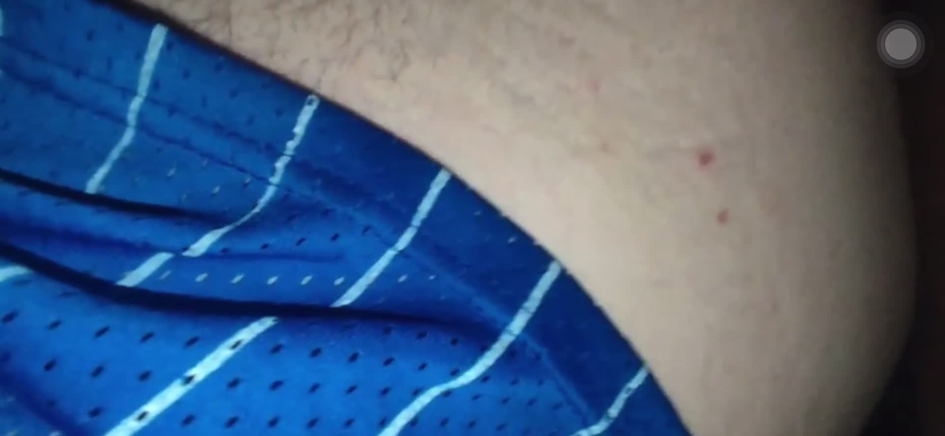 Watch Leitada farta no rabo do macho passivo vadia Shemale Porn Videos | TranSexBig.