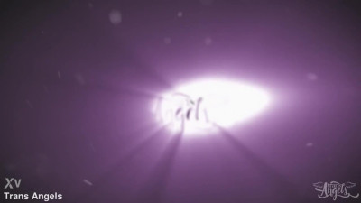 jizzing clean transangels download full from www tafuck