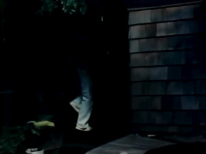 Love Vintage Classics - Scene 1 from She-Male Encounters 6 with Sensational Susanne