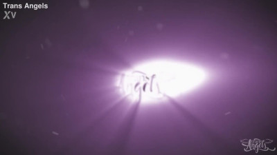 all that glitters is gold transangels download full fro