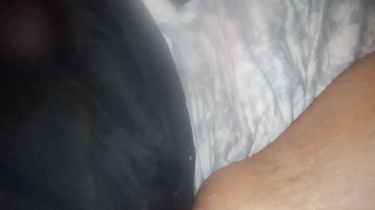 Watch Ur slave Shemale Porn Videos | TranSexBig.