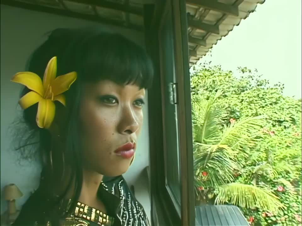 Watch Retro Shemale Fucked Shemale Porn Videos | TranSexBig.