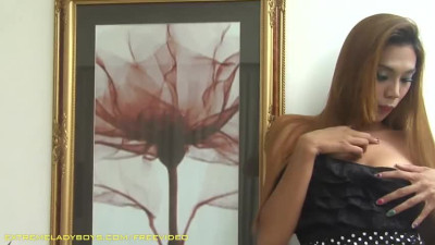 Tanned ladyboy in sexy black outfit gets her hairy cock sucked