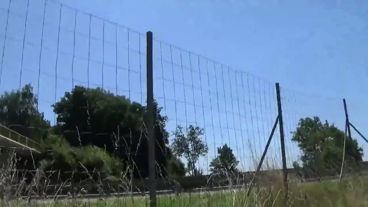 Watch tranny travesti sounding toy outfit outdoor 124b Shemale Porn Videos | TranSexBig.