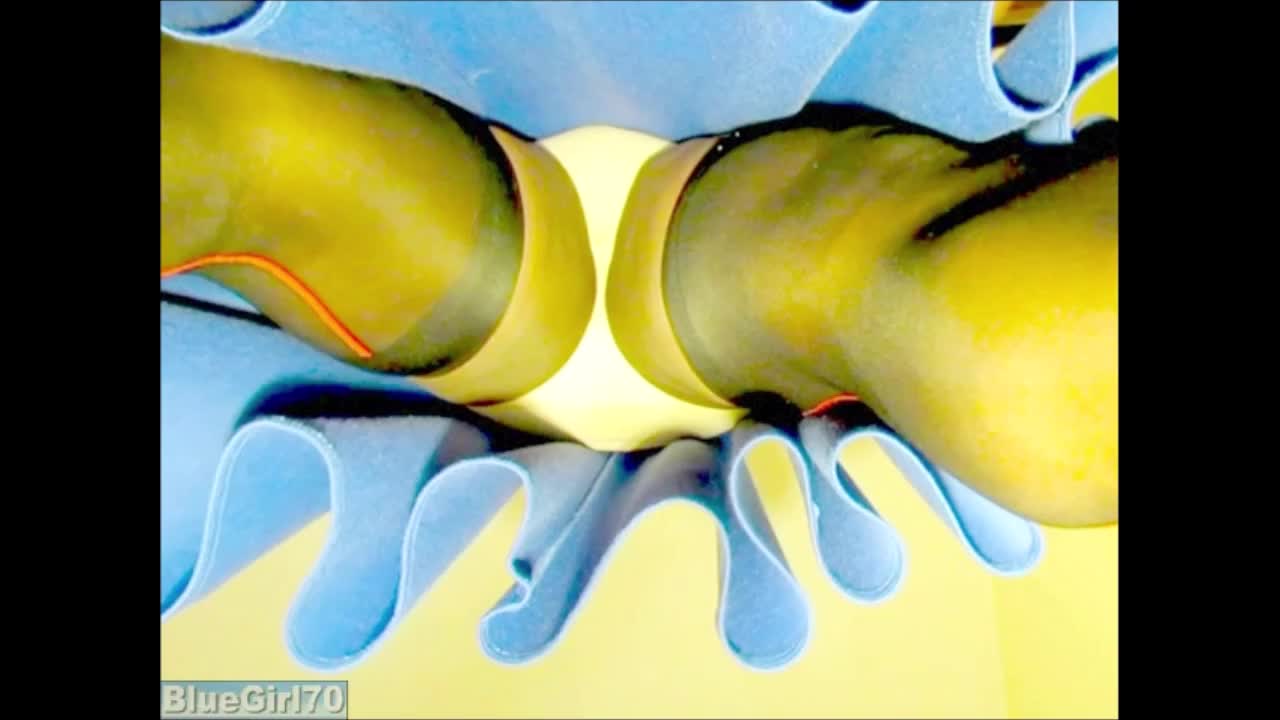 Watch BlueGirl70 Stockings Under Blue Skirt Shemale Porn Videos | TranSexBig.