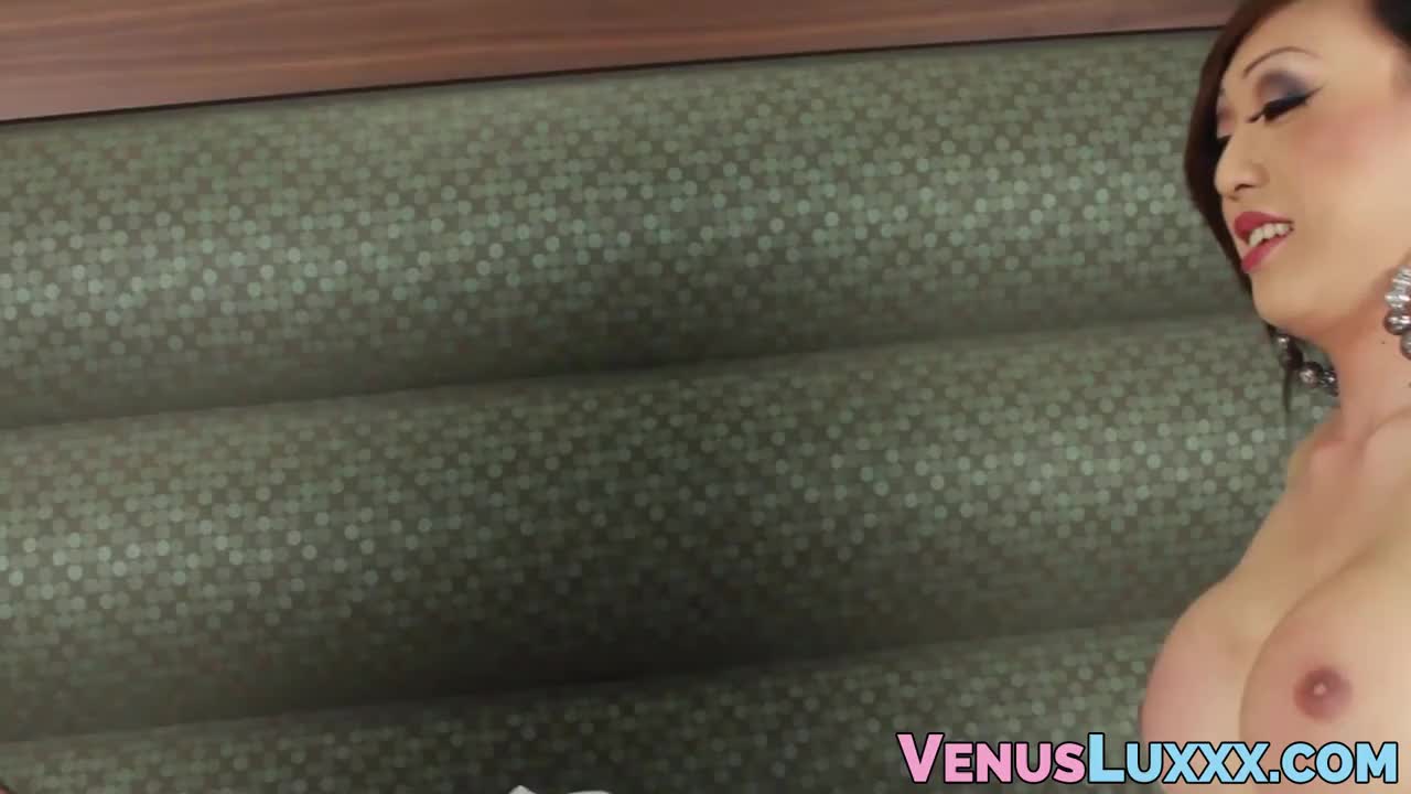 Watch Shemale hotties play with their hard dicks before rough anal Shemale Porn Videos | TranSexBig.