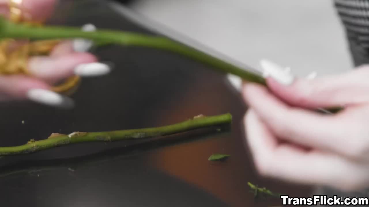 Watch Brave tranny confesses her romantic feelings towards best female friend Shemale Porn Videos | TranSexBig.