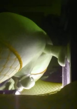 Katie fucked BBC strapon