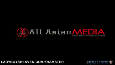 Thai Ladyboy compilation 3