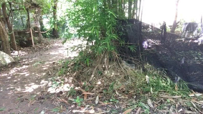 dress set thailand batic tranny