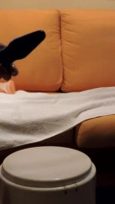 lilly tv and her inflatable log
