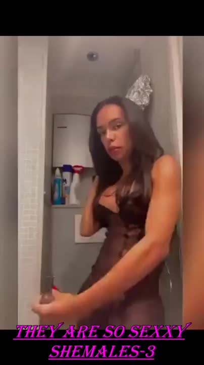 Watch They Are So Sexy Shemales 3 Shemale Porn Videos | TranSexBig.