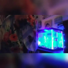 alana sparxxx waiting in restaurant