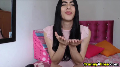 Sweet Ladyboy Faps Her Dick Wildly