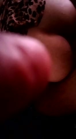 Watch Sissy get fucked Shemale Porn Videos | TranSexBig.