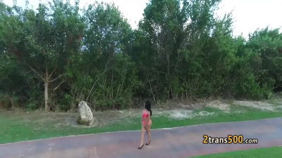 Busty tranny slut enjoy group fuck