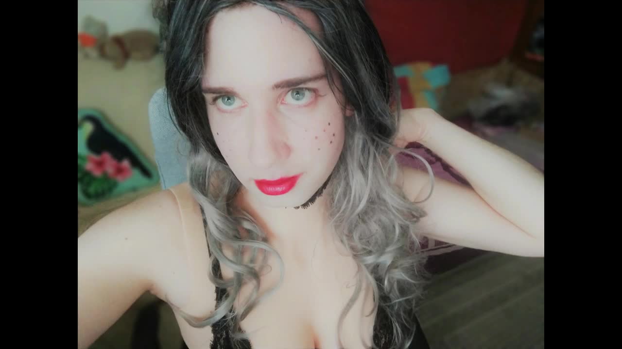 Watch Christmas Blows Shemale Porn Videos | TranSexBig.